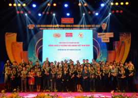 Hoàn Cầu Group đón nhận danh hiệu "Thương hiệu mạnh Viet Nam 2015"